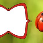 Free Printable Ladybug Invitation
