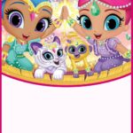 Shimmer and Shine Party Invitation Card